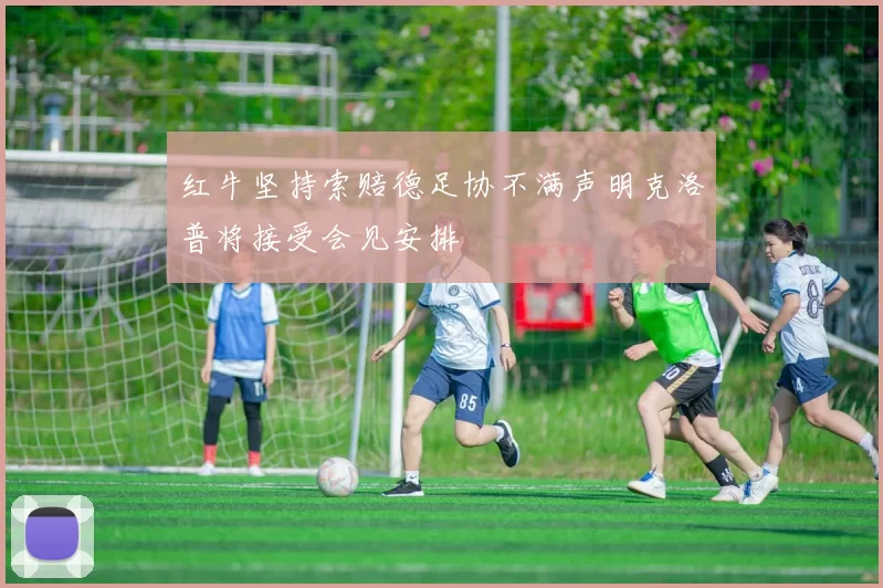 红牛坚持索赔德足协不满声明克洛普将接受会见安排