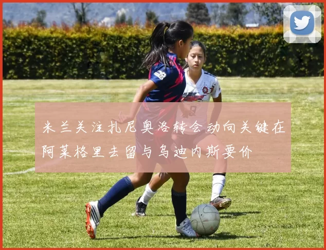 米兰关注扎尼奥洛转会动向关键在阿莱格里去留与乌迪内斯要价