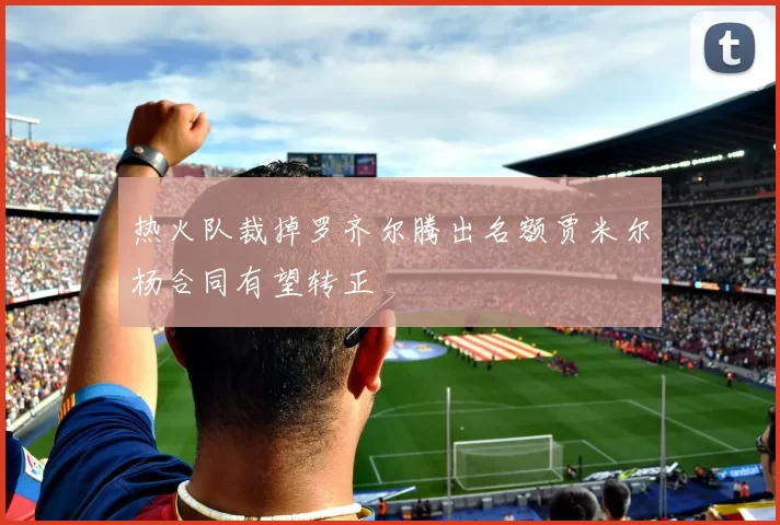 热火队裁掉罗齐尔腾出名额贾米尔杨合同有望转正